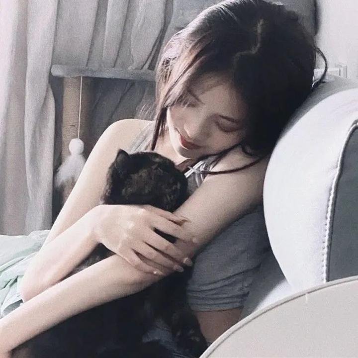 暗金烂狗6